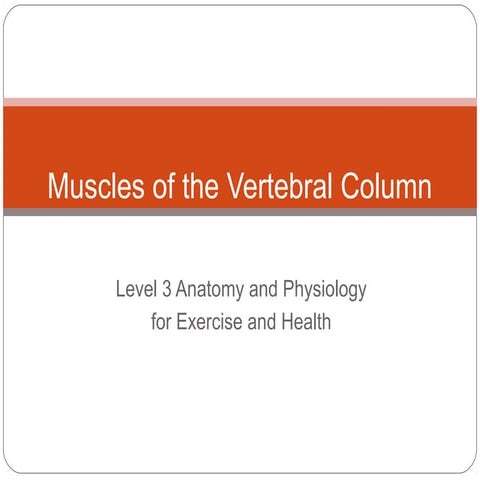 W5   posture and core stability