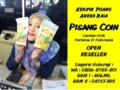 Wa 0856 2725-901 jual keripik pisan...