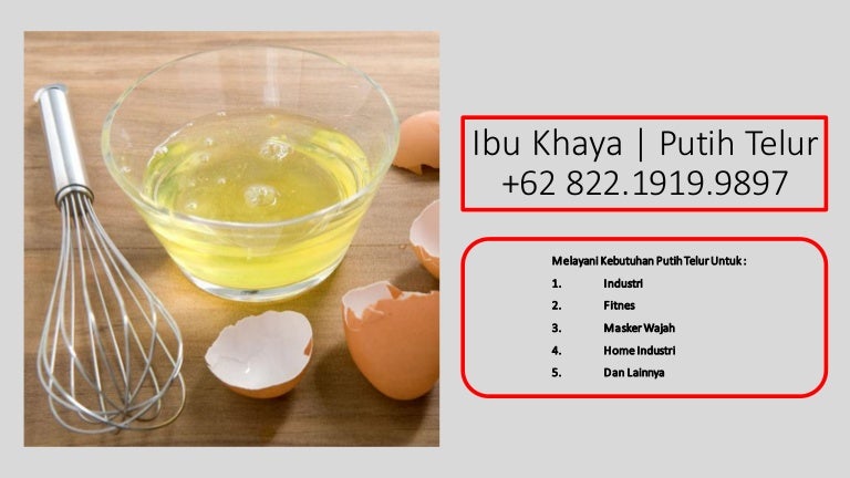 Ready Stok Wa 62 822 1919 9897 Jual Putih Telur Kiloan Mentah De