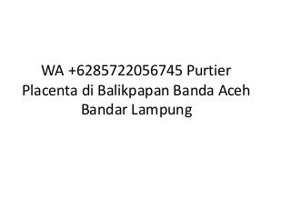 Wa +6285722056745 purtier placenta di balikpapan banda aceh bandar lampung