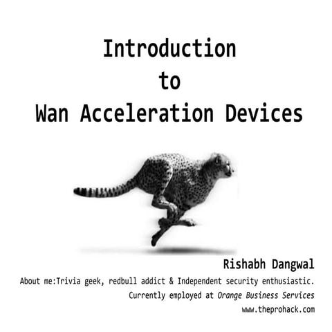 Introduction to Wan Acceleration Devices