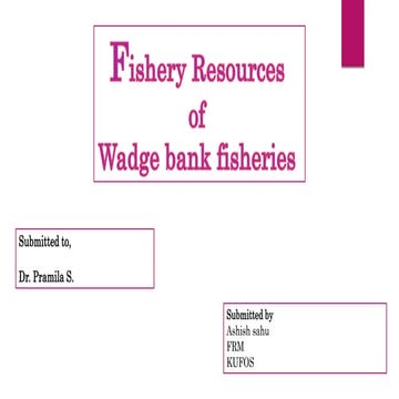 Wadge bank fisheries 