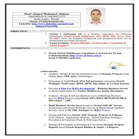 Wael Abdeen Resume