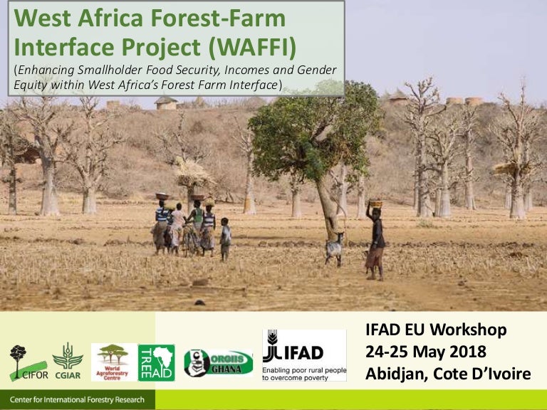 thumbnail of  West Africa Forest-Farm Interface Project (WAFFI): Enhancing smallholder food security, incomes and gender equity within West Africa’s forest-farm interface