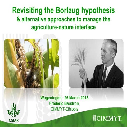 Revisiting the Borlaug hypothesis