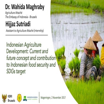 Indonesian Agriculture Development: Current and future concept and contribution to Indonesian food security and SDGs target