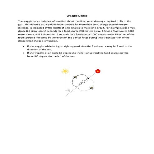 Waggle dance in Honey Bees - Apiculture