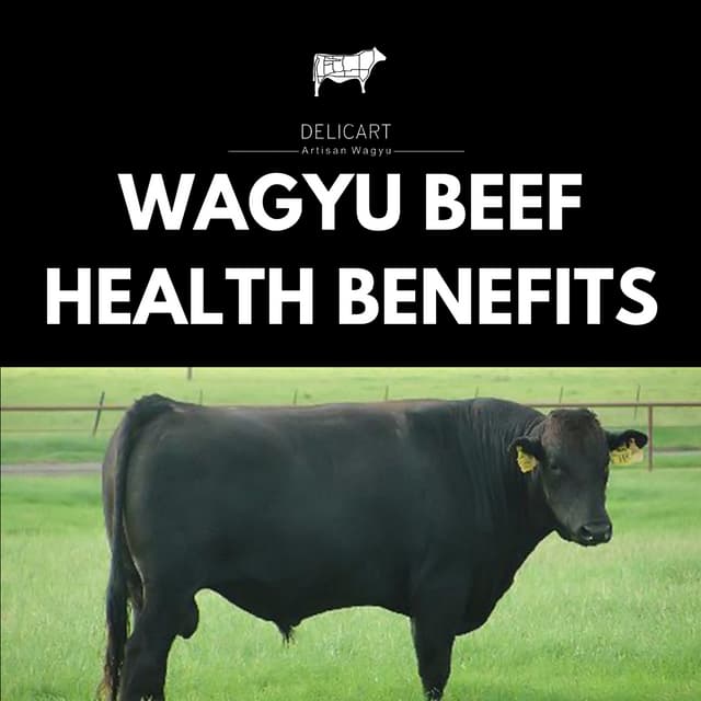 Wagyu Beef Health Benefits.pdf