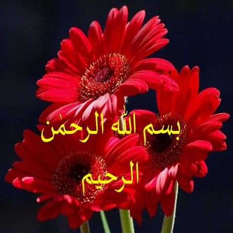 Waheed | PPTX