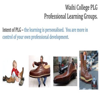 Waihi college plg