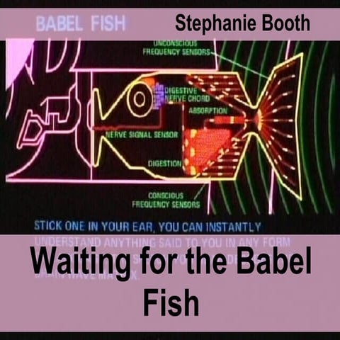 Waiting for the Babel Fish: Languages and Multilingualism