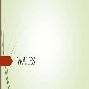 Wales (student presentation) | PPTX