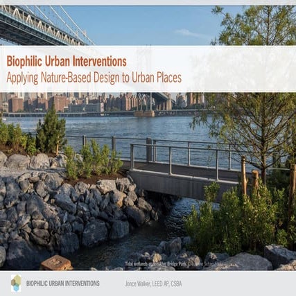 Biophilic Urban Interventions