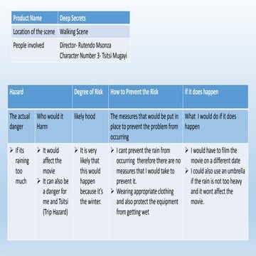 Risk assessment | DOCX