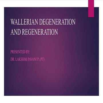 Wallerian degeneration and regeneration