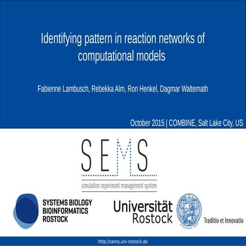 Identifying pattern in reaction networks of computational models