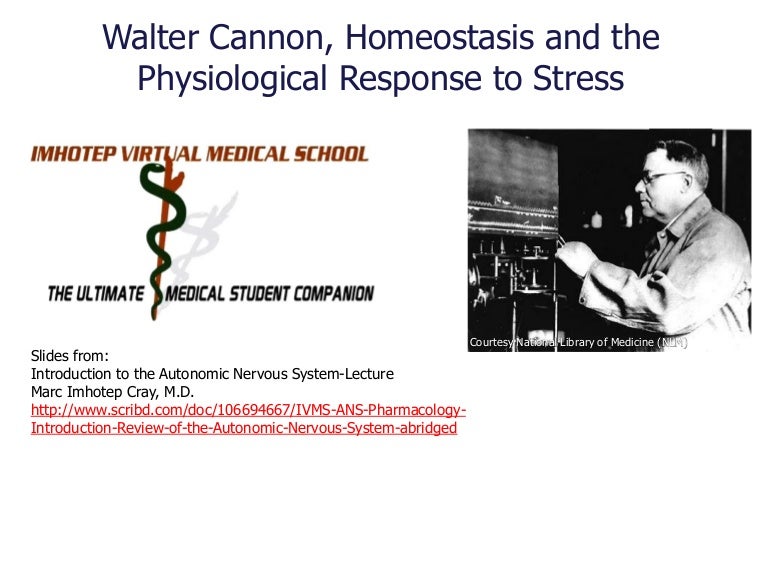 Walter Cannon, Homeostasis and the Physiological Response to Stress