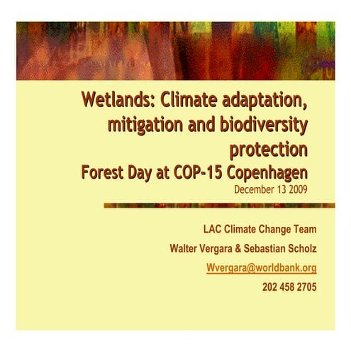 Wetlands: Climate adaptation, mitigation and biodiversity protection