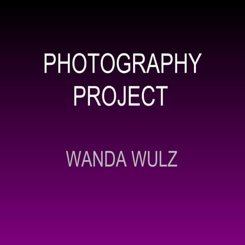Wanda wulz
