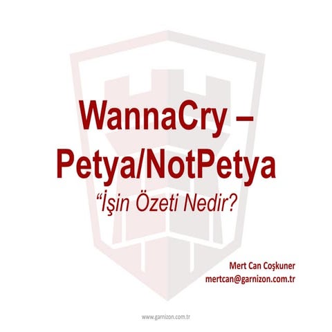 WannaCry - NotPetya Olayları