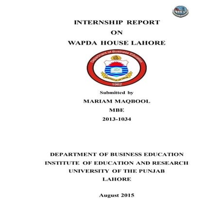 Wapda internship report
