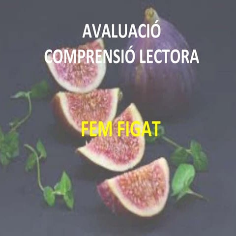 Avaluació de Comprensió lectora: Fem Figat