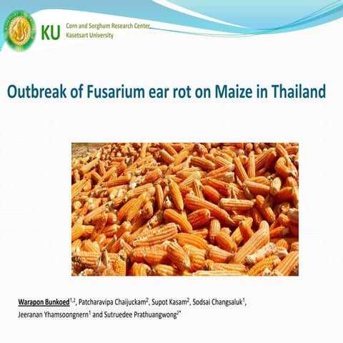 Outbreak of Fusarium ear rot on Maize in Thailand