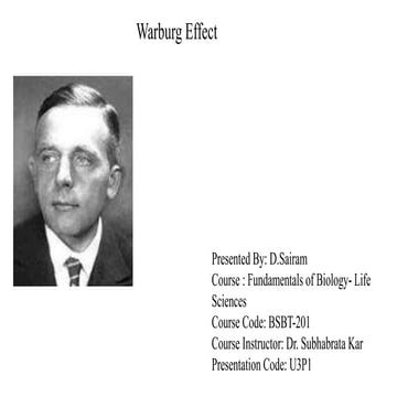 Warburg effect