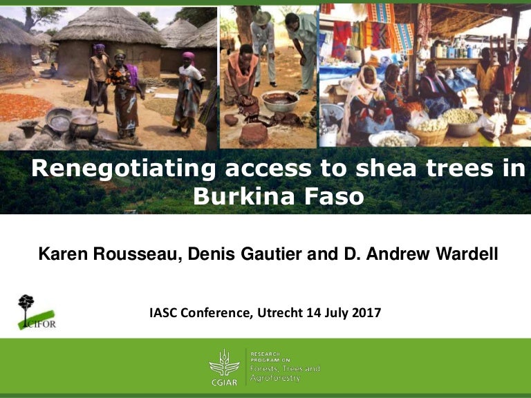 thumbnail of  Renegotiating access to shea trees in Burkina Faso