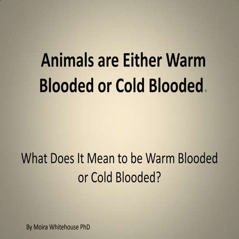 Warm and cold blooded animals  (elem teach)