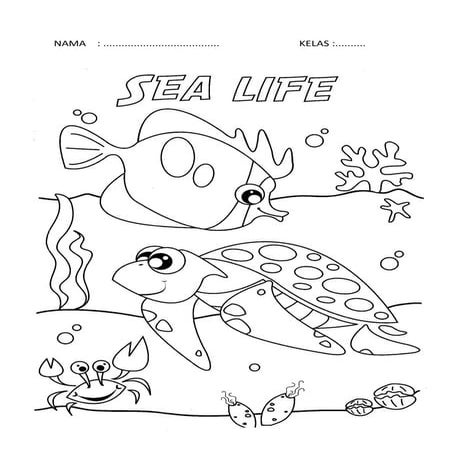 colouring pages | PDF