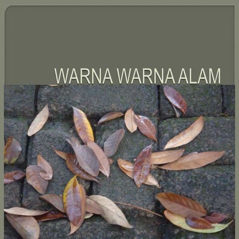 Warna warna alam
