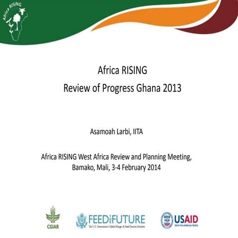 Africa RISING review of progress Ghana 2013