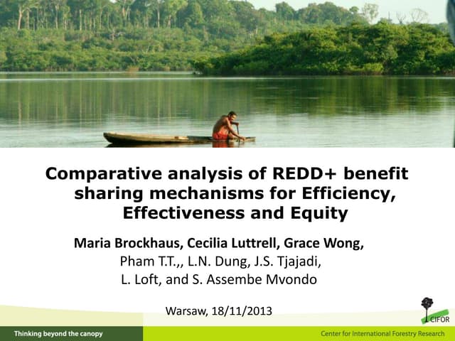 Comparative analysis of REDD+ benefit sharing mechanisms for Efficiency, Effectiveness and Equity