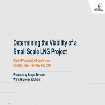 Determining the Viability of a Small Scale LNG Project