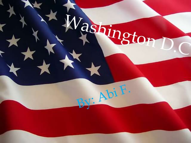 Abi's Washington, D.C. Presentation