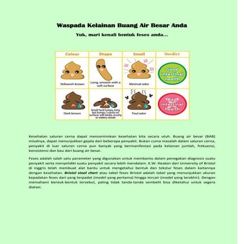 Waspada kelainan buang air besar anda | PDF