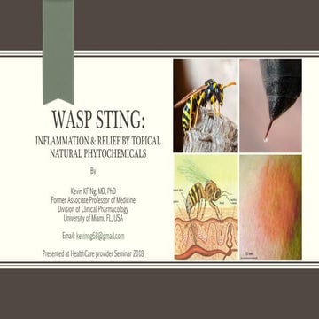 Wasp sting: Inflammation & Relief by Topical Natural Phytochemicals