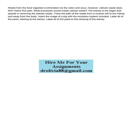 Waste from the food ingested is eliminated via the colon and.pdf