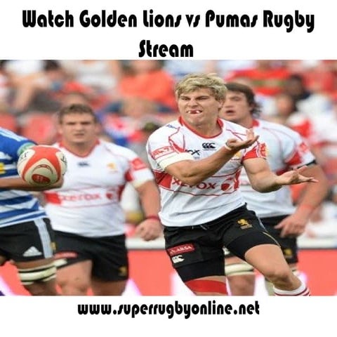 Watch golden lions vs pumas 14 aug  live on pc