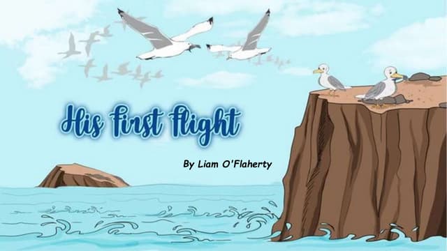 His First Flight Ppt His First Flight Ppt