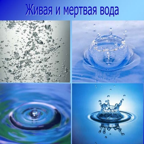 Вода живая и мертвая | PPT