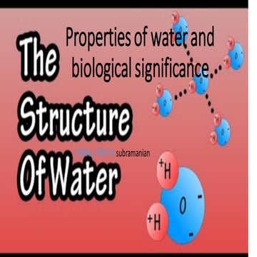 the structure of Water