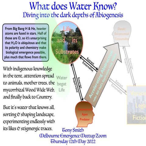 What Does Water Know?