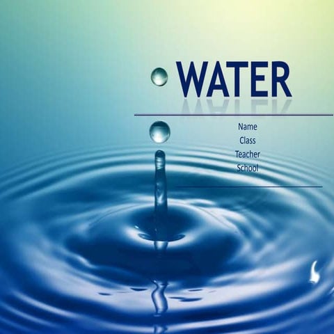Water 