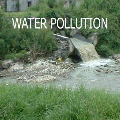 water pollution and its impact on the environment