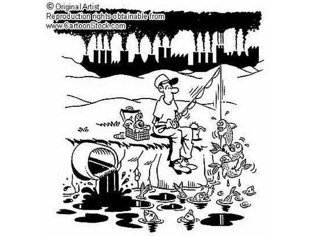 Water Quality