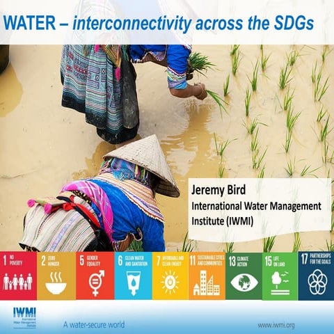 WATER – interconnectivity across the SDGs 