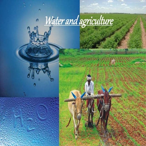 water and agriculture