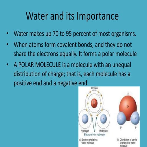 Water and life substances